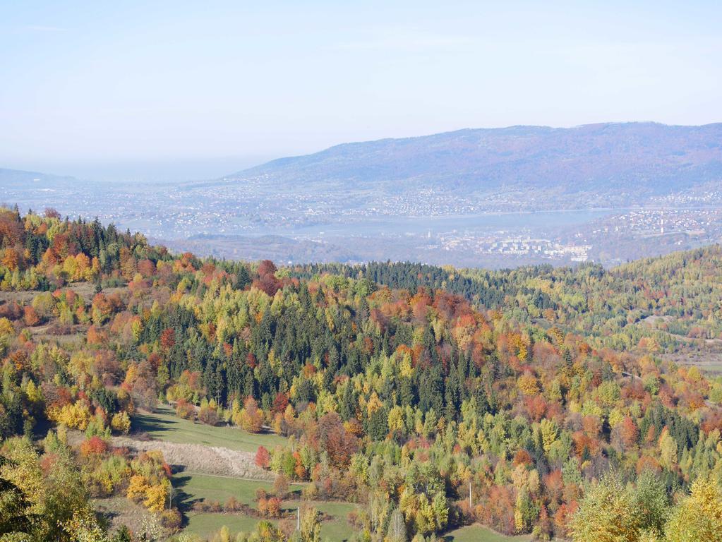 Hotel Zywiecki Medical & Sport Zywiec